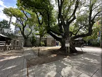 難波神社の写真・動画_image_1364454