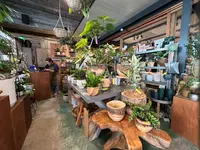 BIOTOP OSAKA(ビオトープ大阪)の写真・動画_image_1364819