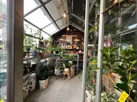 BIOTOP OSAKA(ビオトープ大阪)の写真・動画_image_1364825