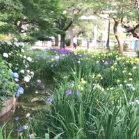 千葉公園の写真・動画_image_1366086