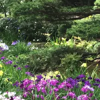 千葉公園の写真・動画_image_1366088