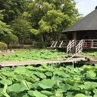 千葉公園の写真・動画_image_1366089