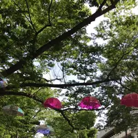 千葉公園の写真・動画_image_1366090