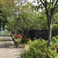 ろっぽう水のみちの写真・動画_image_1366113