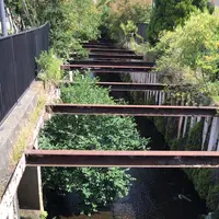 ろっぽう水のみちの写真・動画_image_1366114