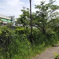 ろっぽう水のみちの写真・動画_image_1366116