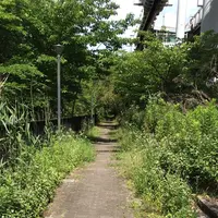 ろっぽう水のみちの写真・動画_image_1366117