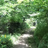 ろっぽう水のみちの写真・動画_image_1366118