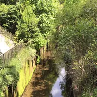 ろっぽう水のみちの写真・動画_image_1366120