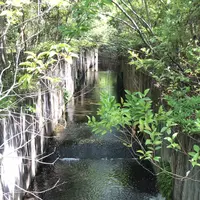 ろっぽう水のみちの写真・動画_image_1366121