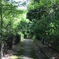 ろっぽう水のみちの写真・動画_image_1366122