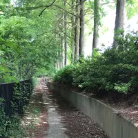 ろっぽう水のみちの写真・動画_image_1366123