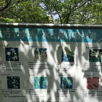 ろっぽう水のみちの写真・動画_image_1366126