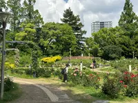 靱公園の写真・動画_image_1367067