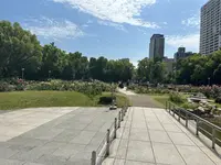 靱公園の写真・動画_image_1367072