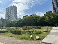 靱公園の写真・動画_image_1367074