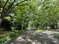 靱公園の写真・動画_image_1367077