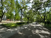 靱公園の写真・動画_image_1367078