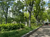 靱公園の写真・動画_image_1367081