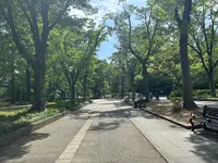 靱公園の写真・動画_image_1367082