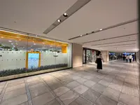 なんばCITY（なんばシティ）の写真・動画_image_1367238