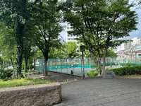 中之島西公園の写真・動画_image_1367400