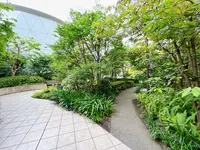 屋上広場（阪急うめだ本店）の写真・動画_image_1367994