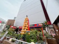 OSAKA たこ焼マーケットの写真・動画_image_1368157