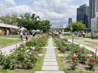 中之島公園の写真・動画_image_1368973