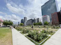 中之島公園の写真・動画_image_1368974