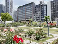 中之島公園の写真・動画_image_1368981