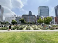 中之島公園の写真・動画_image_1368996