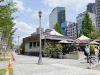 中之島公園の写真・動画_image_1369008