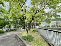 中之島緑道の写真・動画_image_1369279