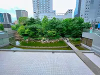 中自然の森の写真・動画_image_1369309
