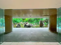 中自然の森の写真・動画_image_1369310