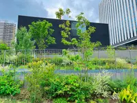 大阪中之島美術館の写真・動画_image_1369734