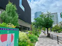 大阪中之島美術館の写真・動画_image_1369746
