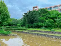 梅田スカイビルの写真・動画_image_1369866