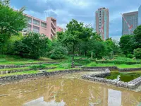 花野（新梅田シティの里山）の写真・動画_image_1369946