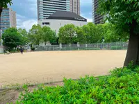 上福島北公園の写真・動画_image_1369959