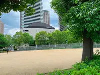 上福島北公園の写真・動画_image_1369960