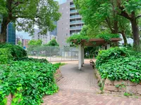 上福島北公園の写真・動画_image_1369961