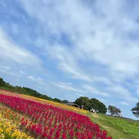 那須フラワーワールドの写真・動画_image_1370306