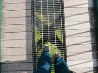 森林の駅　もみじ谷大吊橋の写真・動画_image_1371086