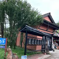 アジアンオールドバザールの写真・動画_image_1371092