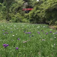 泉自然公園の写真・動画_image_1372093
