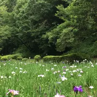 泉自然公園の写真・動画_image_1372094