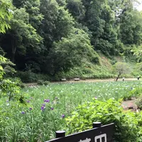 泉自然公園の写真・動画_image_1372095