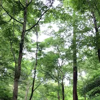 泉自然公園の写真・動画_image_1372136